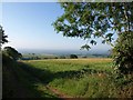 ST0316 : View from conservation walk, West Pitt by Derek Harper