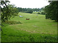 Horse Trials at Borde Hill