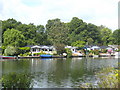 Chalets on Trowlock Island