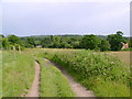 Reservoir access track