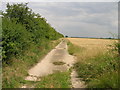 Farm track off Ruard Road