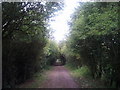 Cycle track on old railway track, heading north