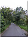 TM4463 : Abbey Lane, Leiston by Geographer