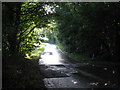 The road down Saxby Hill