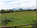 Pasture land west of Cumran Lane