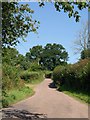 Lane near Fenton Farm