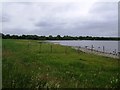 N0055 : Grazing land beside Lough Rea by John M
