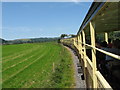SN6480 : Vale of Rheidol railway near Capel Bangor by Gareth James