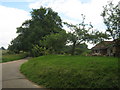 Road beside The Stables