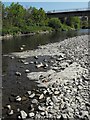 Exposed bedrock in the River Severn