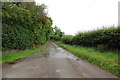 The Lane leading away from Butterhill House