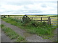 Gates in the Carmarthenshire countryside