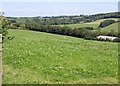 Valley at Bences Barton