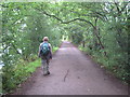 The Thames Path downstream from Kew Railway Bridge