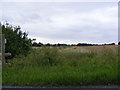 TM4062 : Bridleway to the B1121 The Street, Sternfield by Geographer