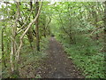 Footpath along a dismantled railway trackbed near Argoed