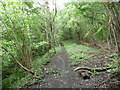 Footpath along a dismantled railway trackbed