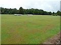 Cricket field on Dunsfold Common