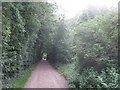 Footpath beside Vinters Park