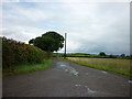 A farm road leading to Pallathorpe Farm