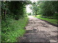 Bridleway to Upper Holton, Halesworth