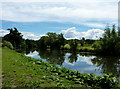 The River Medway at Wateringbury