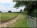 Farm track and field boundary