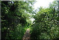 Footpath off Hollow Lane