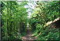 Footpath off Hollow Lane