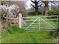 Track near Bees Farm