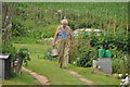 Tiverton : Man in the Allotments