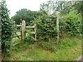 Signpost for the Sussex Border Path at Dungate Farm