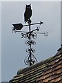 Owl on the cottage