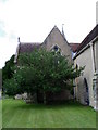 SZ2992 : Holly tree, All Saints' Church by Maigheach-gheal