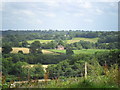 Pastoral scene at Highbrook, West Sussex