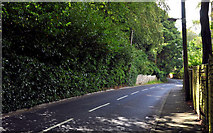 J3975 : The Glenmachan Road, Belfast by Albert Bridge