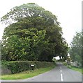 Milltown Road at its junction with Downpatrick Road