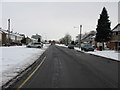 Looking W along Whitbourne Avenue, Swindon