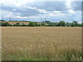 Farmland off Winteringham Lane