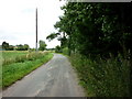 A minor road near Fir Tree Cottage