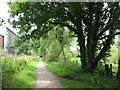 Cyclepath near Coleford