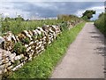 Limestone wall, Danielswell Farm