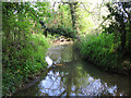 View of a stream near Little Clanfield Mill