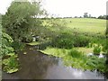 River Avon from Cow Bridge