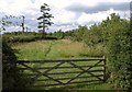 Edge of orchard, Cleverton