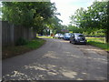 The road to Thatched Lodge, Richmond Park