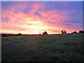 TM0733 : Sunset over Dedham Vale by Roger Jones