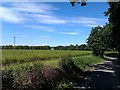 View across fields, Broadlands Estate