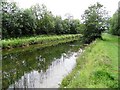 N6032 : Grand Canal near Edenderry, Co. Offaly by JP
