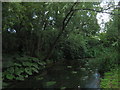 River Cray towards St Mary Cray